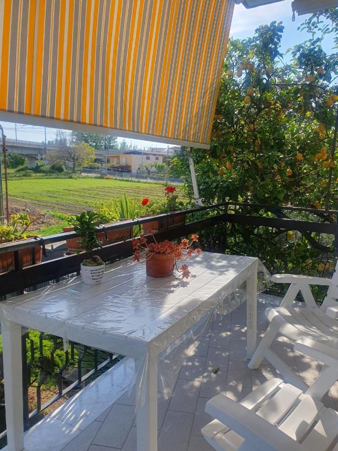 Bed and Breakfast Ospitalita Il Noce Brusciano Esterno foto