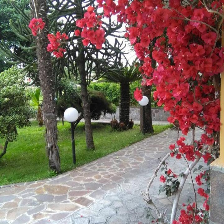 Bed and Breakfast Ospitalita Il Noce Brusciano Esterno foto