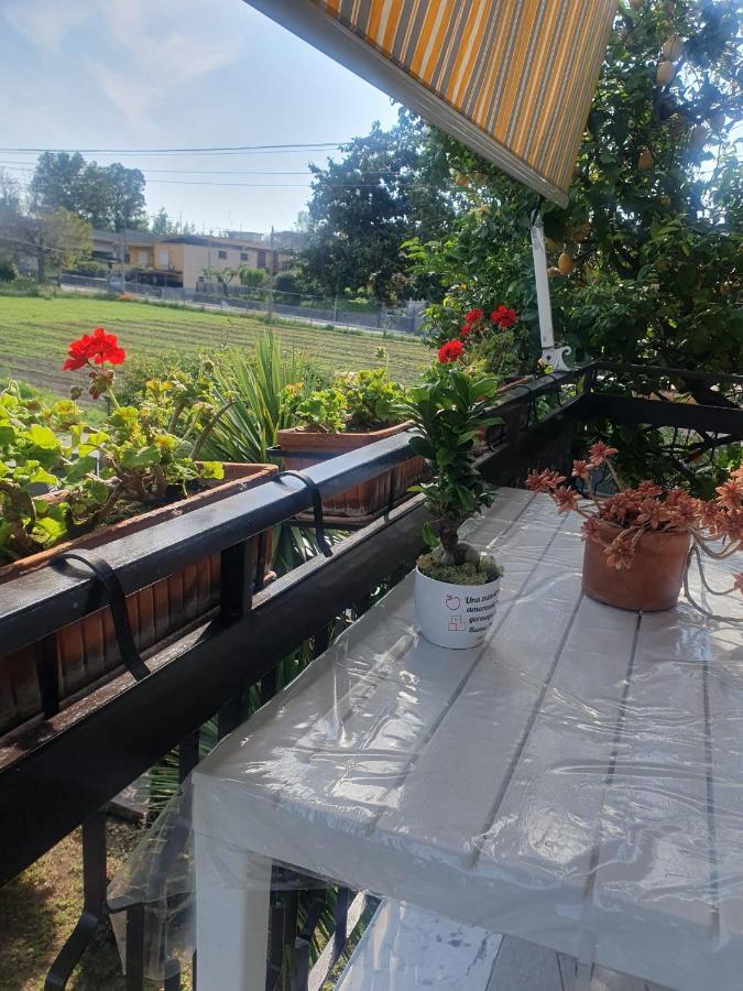 Bed and Breakfast Ospitalita Il Noce Brusciano Esterno foto